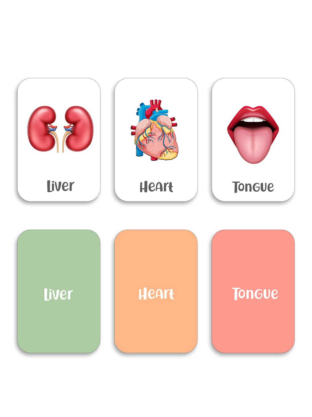 Body Parts Flash Cards