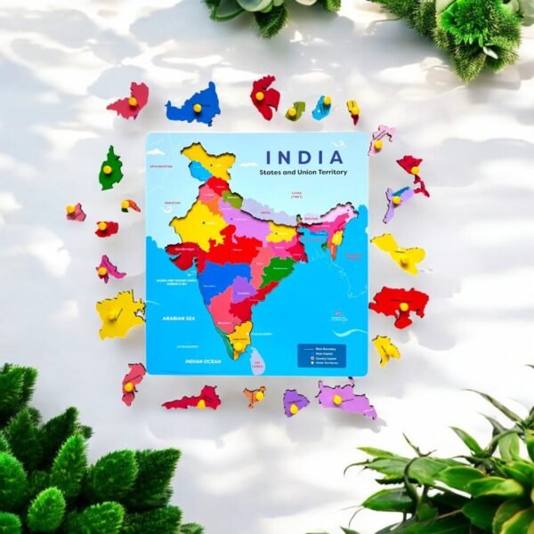 Indian Map Peg Puzzle – Interactive Geographical Learning