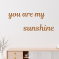 Wall decor (you are my sun shine)
