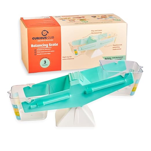 Balancing Weight Scale Toy