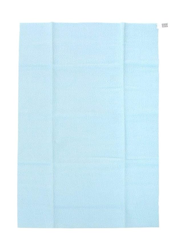 Blue Water Proof Total Dry Sheet Protector Mat (Large)