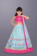Girls Ethnic Wear Lehenga, Choli and Dupatta Set (Pink & Blue)