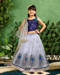 Baby Girls Lehenga Choli Ethnic Wear