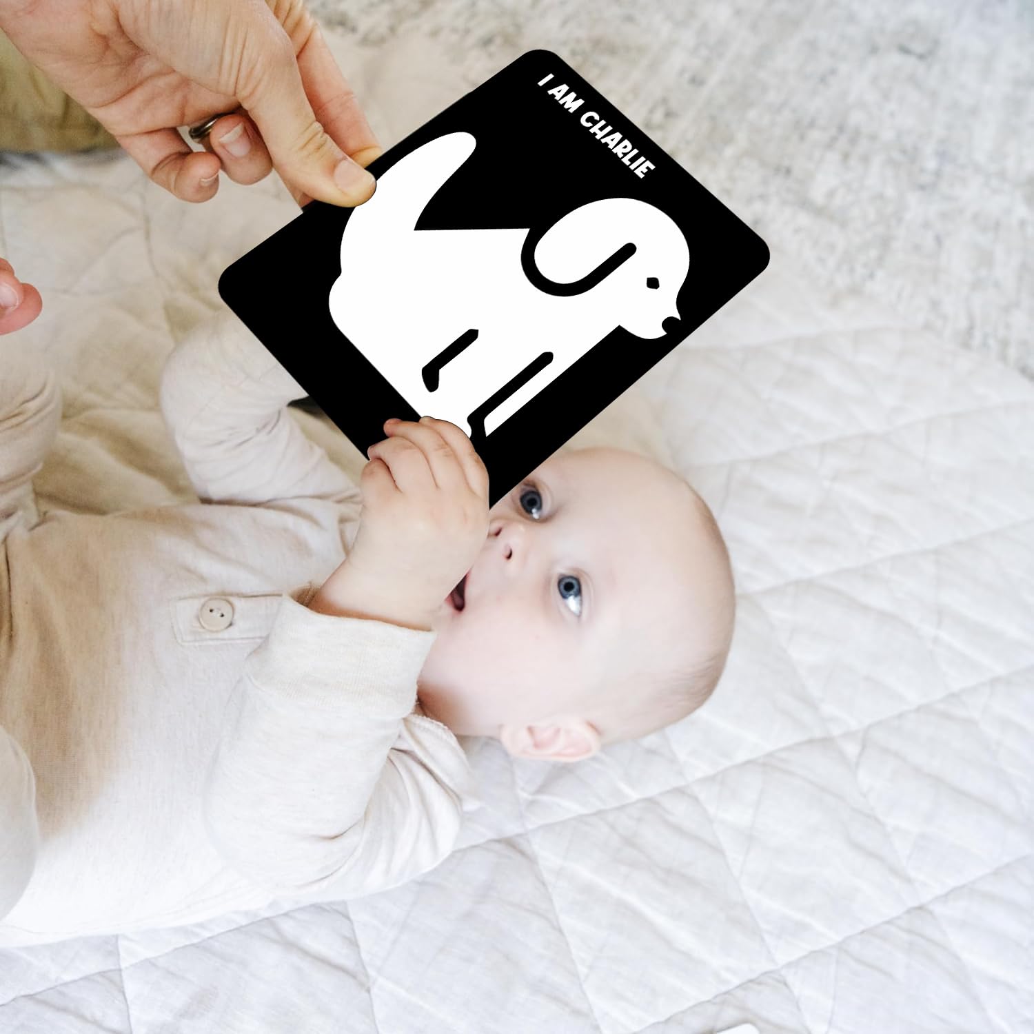 Webby High Contrast Baby Flashcards