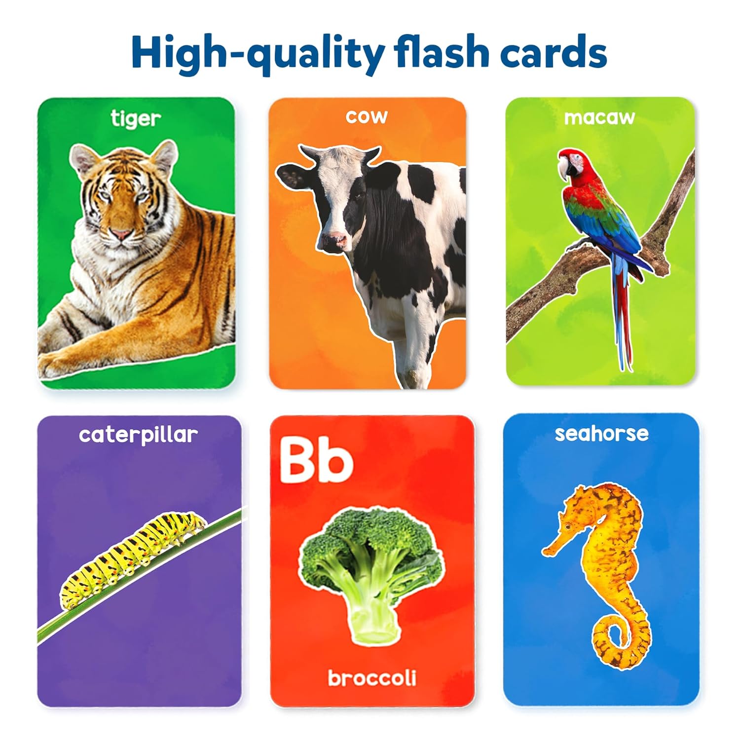Skillmatics Flash Cards Combo - Animals & Letters