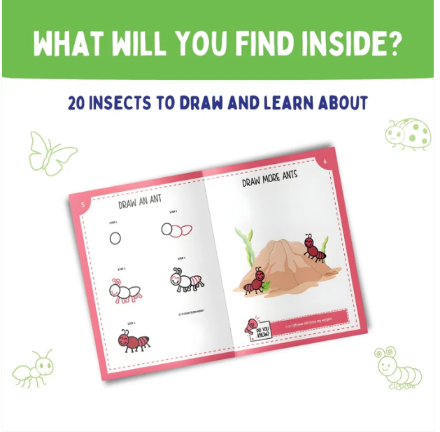 Step-By-Step Drawing Book - Incredible Insect