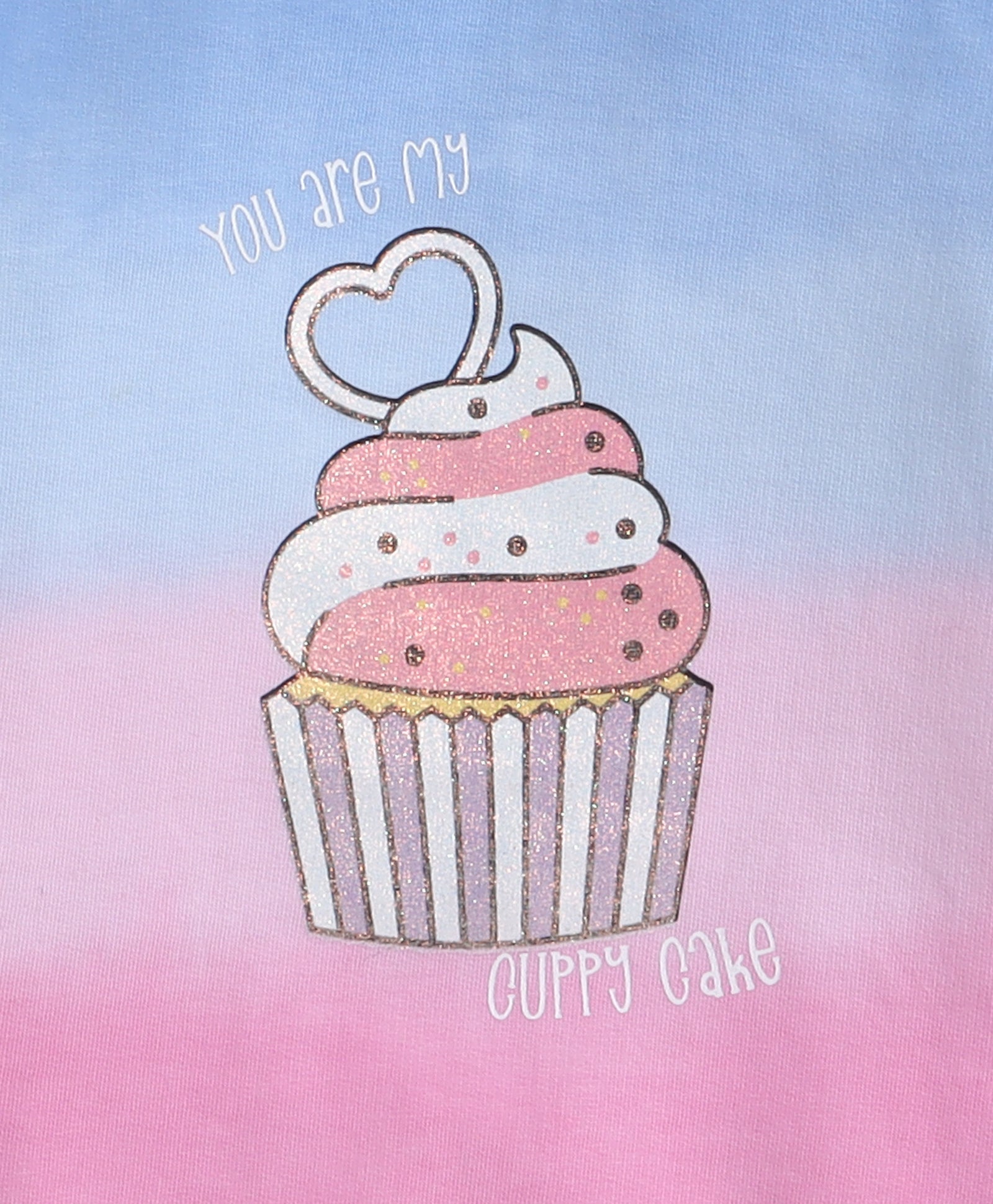 Pink & Blue Girls Full Sleeves Cotton Hooded Sweatshirt