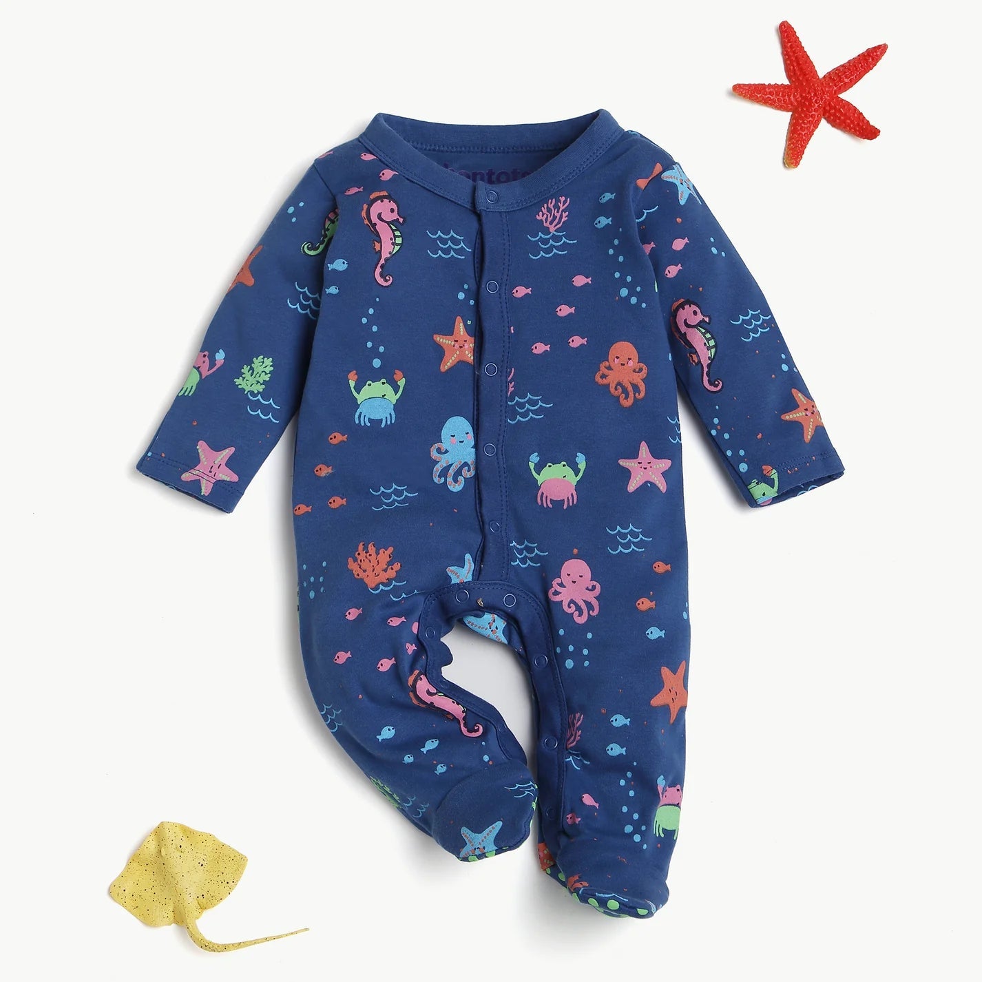 Ocean Explorer Footsie