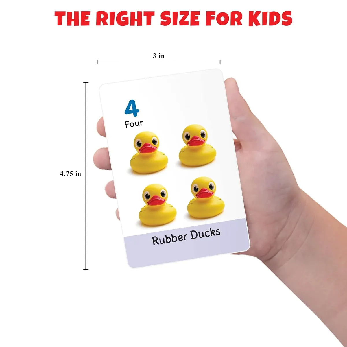 My Big Number Flash Cards